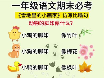 一年级语文期末必考知识点,仿写比喻句,动物的脚印像什么#必考考点 #语文学习 #小学霸修炼计划