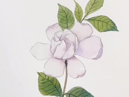 又是毕业季啦!超详细的教学,包教包会~一起画一朵栀子花吧!视频很长,收藏慢慢学吧
#水彩 #零基础学画画 #画画使我快乐 #零基础教学 #美术课堂 #教你画 #学画各种花 #水彩画教程 #水彩呀水彩 #水彩花卉 #水彩教程 #跟着抖音学画画