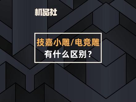 技嘉的小雕和电竞雕有什么区别?#技嘉 #diy电脑 #电脑 #组装电脑 #电脑硬件 @抖音小助手 @DOU+小助手