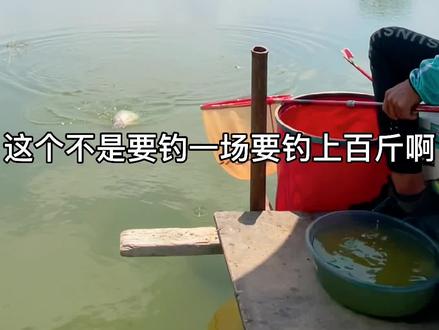 今天成功盘老板93斤,净赚了老板179元,存起来买鱼苗放生。#黑坑盘老板 #dou是钓鱼人 #户外钓鱼