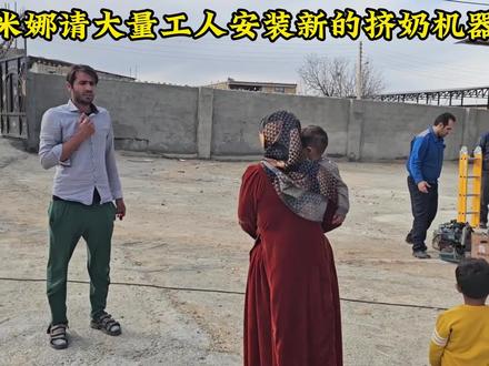 米娜的生活回归正常不在被卡迪尔影响,请大量工人安装挤奶机,米娜最新后续#纪录片#米娜