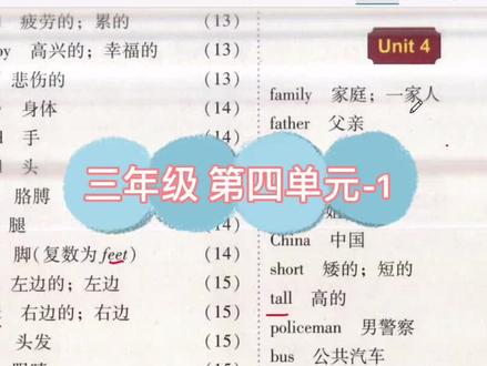 #创作灵感 #零基础英语 #英语 #英语单词 @抖音小助手 @DOU+小助手
