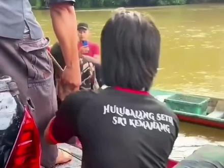 境外拍摄 大猫骨戒#支持手艺人的点赞 大猫牙