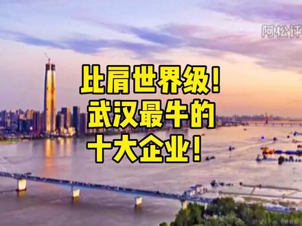 比肩世界级!武汉最牛的十大企业#武汉 #最牛 #武汉楼市 #阿松评楼 @DOU+小助手 @抖音小助手