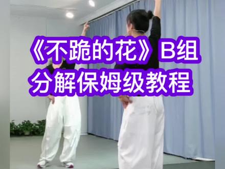 《不跪的花》广场舞慢动作分解保姆级教程B组 #零基础学舞蹈 #一学就会系列 #一步一步教会你跳舞