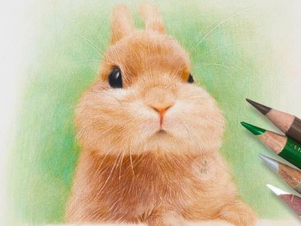 兔年当然要学会画兔兔啦!
#彩铅 #兔子 #画画教程