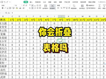 折叠和隐藏这两种方式,你更加喜欢哪一种呢? #WPS办公技巧 #excel表格 #涨知识