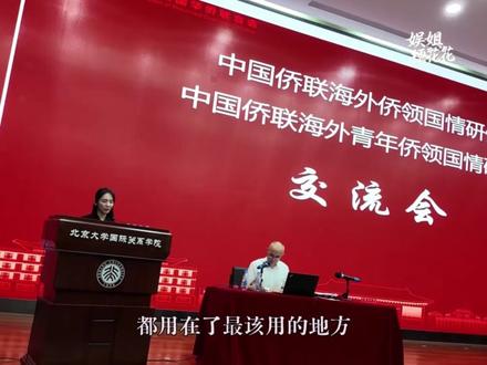 V姐何尝不是新时代的南枝呢 #给阿嬷的情书 #泰国v姐 #南枝