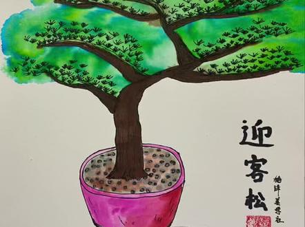 迎客松盆景,通过观察树的造型进行写生绘画,用线描的手法表现树干和披针状的叶子。儿童创意美术#儿童美术创意