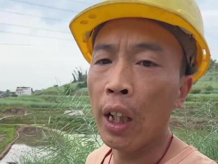 中国最神秘的五个女人,老六是谁?
#小芳 #小薇 #阿莲 #九妹#玉芬