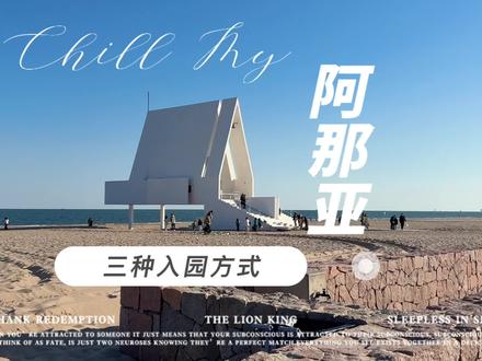 进入阿那亚的三种方式