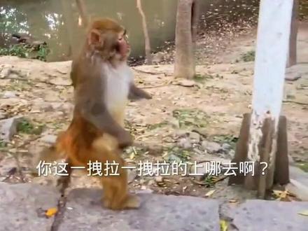 最近听说什么散可火#山水车城宜居十堰 @十堰晚报