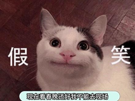 以前是春晚爆金句,现在是一年网络爆梗复习#春晚