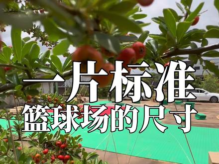 一片篮球场标准尺寸 1. 整体尺寸
长度:28米
宽度:15米
面积:420平方米
2. 关键区域划分
(1)三分线
距离篮筐中心点6.75米
弧顶半径:6.75米,两侧直线延伸至底线附近。
(2)罚球线与三秒区
罚球线距离篮板:5.8米(从篮筐前沿垂直测量)
三秒区(禁区):长5.8米 × 宽4.9米的矩形区域。
(3)中圈与跳球区
中圈直径:3.6米
跳球区半径:1.8米
(4)篮板与篮筐
篮板尺寸:宽1.8米 × 高1.05米
篮筐高度:3.05米(从地面到篮圈上沿)
篮筐直径:45厘米(标准球可轻松穿过)
3. 场地边界与线条
边线:端线宽度:5厘米(不占用场内空间,尺寸从内边缘计算)
其他线条:(如三分线、罚球线):宽度均为5厘米。#篮球场尺寸#篮球场面积#篮球场地板#昭通篮球场地胶