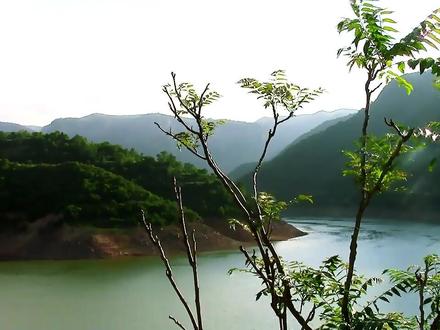 纯音乐Eternity(永恒)Shardad Rohani