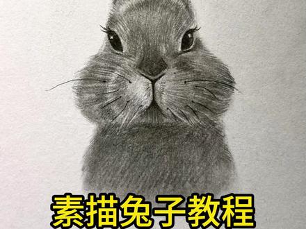 15分钟搞定一只素描兔子!寒假孩子在家无聊,让她画起来吧!简单又好学!家长也可以跟着一起画!共度美好时光!#亲子 #寒假 #学画画 #素描教程 #零基础学画画 @蔡海晨美术(实现画画梦想) @沈阳蔡海晨画室 @蔡海晨画室师训联盟