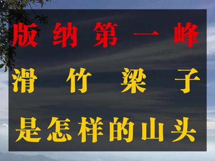 #琅邦#普洱茶#滑竹梁子 版纳第一峰,滑竹梁子是怎样的山头呢??