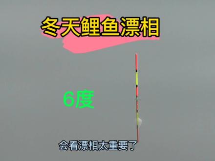 冬天野钓鲤鱼,会看漂相太重要了,详细分析鲤鱼吃口每一个过程。 #垂钓园