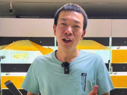 龙鱼常见问题第二期:#龙鱼缩鳍