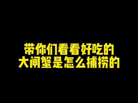 开始捕捞大闸蟹了#快来一起尝个鲜