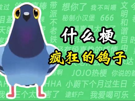 什么梗之“疯狂的鸽子” #pigeonpop #疯狂的鸽子 #手游 #梗 #什么梗