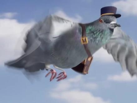 发明飞鸽传书的人真是个天才! #原理视界