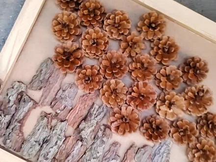 #手工diy 松果+树皮变成惊艳装饰画,去试试吧!#手工 #松果手工制作 #真实生活分享计划