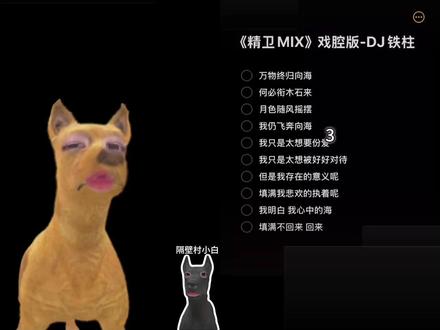 今天请来了一位好朋狗一起唱#精卫 #翻唱 #精卫dj