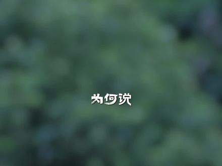 立春很重要,“四个忠告”要记牢 #立春 #国学文化 #国学智慧 #传统文化
