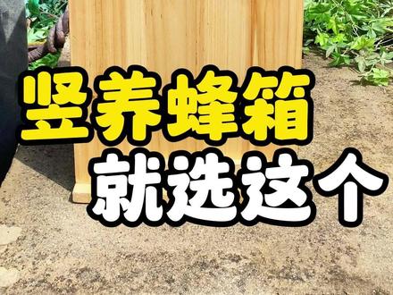在竖养的蜂箱中养蜂到底好不好?如果你没什么养蜂经验,又不知道选什么蜂箱,那我真的推荐你选这款三峡蜂箱。#三峡蜂箱 #蜂箱厂家 #土养蜂箱