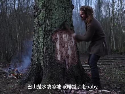 不用电锯,只用斧头砍倒一棵大树 森林里没有机器声,只有斧头一下下落在树干上的回响。这个视频记录了用传统方式砍倒大树的过程:观察方向、控制切口、耐心劈砍,直到巨木缓缓倒下。慢节奏却很有力量,看完莫名解压,也能感受到真正的户外手作感。
#户外生活 #森林治愈 #解压视频 #沉浸式体验 #传统手艺 #木工 #助眠视频 #户外露营