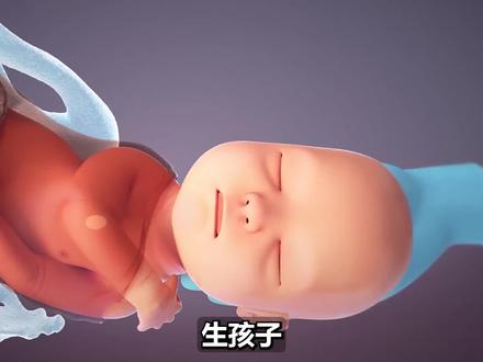 生孩子,男生永远无法理解的痛 #顺产 #分娩 #科普一下 #3D动画
