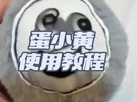 绝望的蛋小黄使用教程来啦 #绝望的蛋小黄 #蛋仔派对 #蛋仔玩具 #雷霆大蛋 #蛋小灰