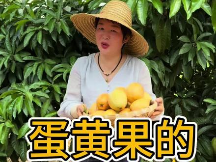 蛋黄果如何催熟? #果树种植基地 #蛋黄果催熟 #果树苗基地 #蛋黄果