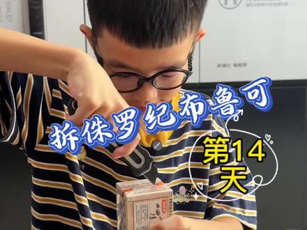 十四天啦,彩透副栉龙#盲盒 #恐龙#侏罗纪#布鲁可 #乐高