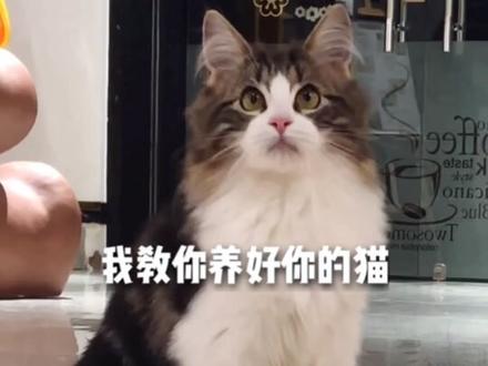 教你简单操作摆脱酸爽臭臭尿味。@抖音小助手