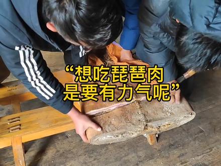 “想吃琵琶肉是要有力气呢”。关于琵琶肉的介绍,可以看我以前发的视频。#古道驿铺玉露拖拉#琵琶肉#藏族美食