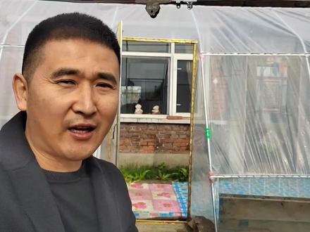 东北农村扣阳光棚多少钱?铁管450元塑料布130元,580元温暖一冬#我要做爆款 #我的农村生活 #我的乡村生活 #乡野生活 #绥化王成 #暖棚 #大棚膜 #种菜 #温室 #大棚
