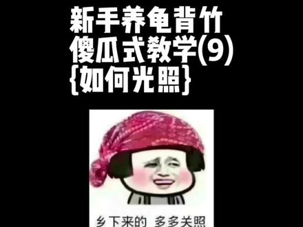 请把光照尽可能拉满#花卉绿植 #龟背竹