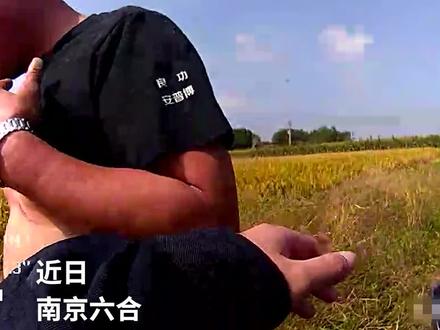 警民联手制服“肇事”梅花鹿