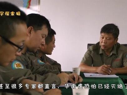 江西村民多次看见野生华南虎,专家曾宣告灭绝,到底该相信谁? #科普 #知识先锋计划