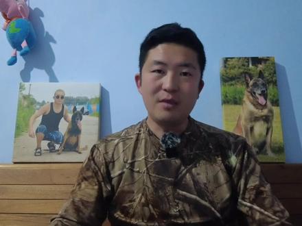 044-猫狗到底是食肉动物还是杂食动物?