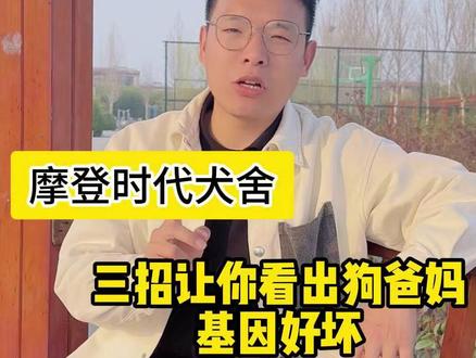 作为10年犬舍主理人,教你3招,一眼看穿狗爸妈的基因好坏! 作为10年犬舍主理人,教你3招,一眼看穿狗爸妈的基因好坏!#边牧 #赛级边牧 #边境牧羊犬 #边牧犬舍 #双血统边牧