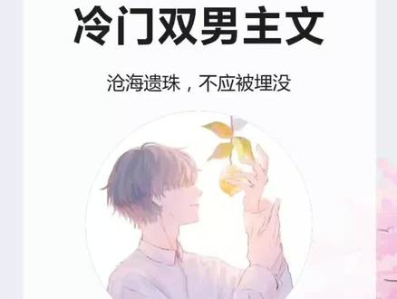 超好看的冷门双男主文#双男主文 #小说