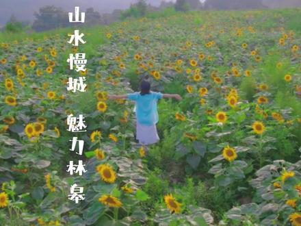 水上慢城、浅休闲慢生活~这是渭南的“小三亚”🏖️周边休闲游亲子游推荐🚗💨#旅行推荐官 #亲子游玩好去处 #我为家乡代言 #带ta去旅行 #周边游