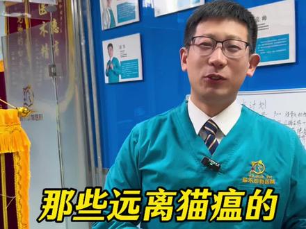 家里有养猫的朋友们,这期一定要仔细认真听哦 #猫咪 #猫瘟 #宠物 #任丘 #宠物医院