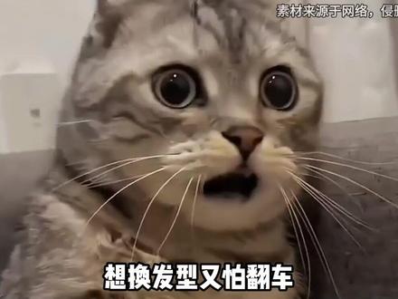 想换发型别瞎冲 #阿里千问 #上百款ai不如一个千问 #国产AI