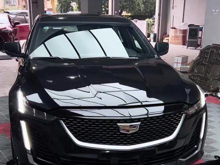 有钱上铂金不用说,但尊贵版才是性价比之王,绝对不是豪华版。
#凯迪拉克ct5 #抖音汽车 #dou是好车 #撸车日常 #凯迪拉克