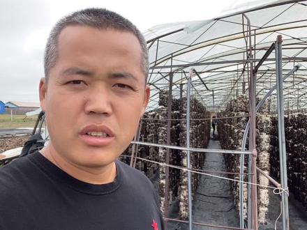 好朋友们。东北人管这叫黑菜。黑色的菜。