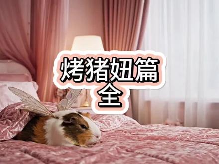 烤猪妞日记篇(完整版)